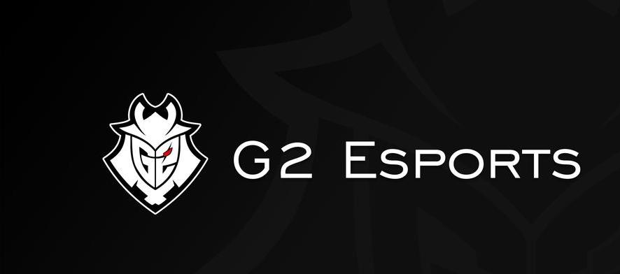 csgo g2战队是哪个国家的 (图2)