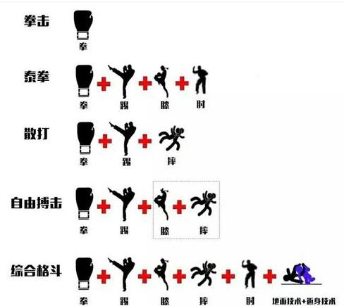 综合格斗和其他格斗运动有何区别？ (图2)