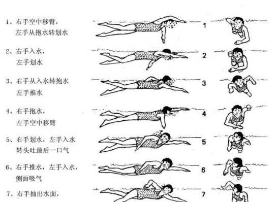 1500米自由泳项目,自由泳可以用哪些姿势 (图1)