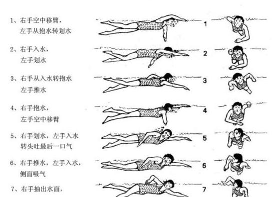 100米自由泳技巧,100米自由泳训练方法 (图1)