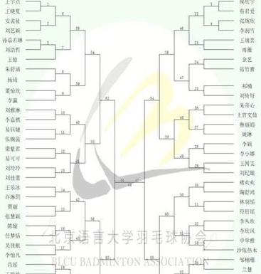 羽毛球比赛2023年赛程表苏迪曼杯比赛结果 (图3)