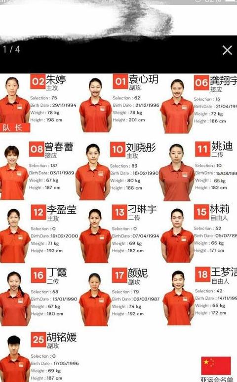 中国女排最新名单 主力阵容 (图2)