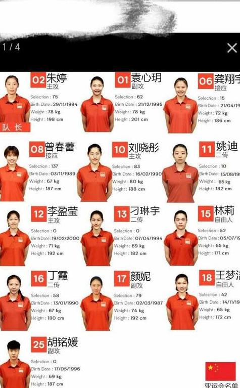 中国女排队员名单照片,女排主力名单 (图3)